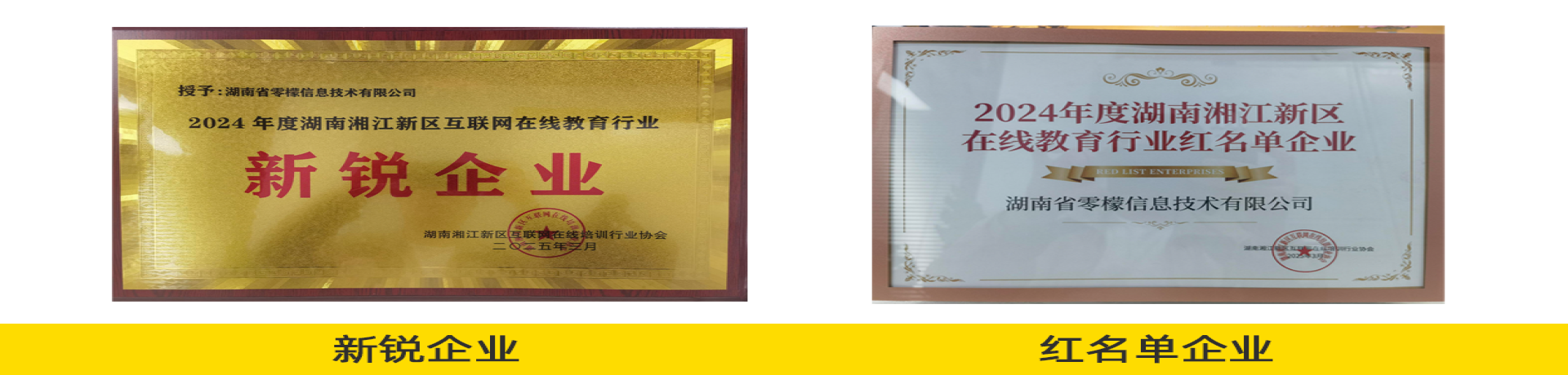 新锐企业+红名单